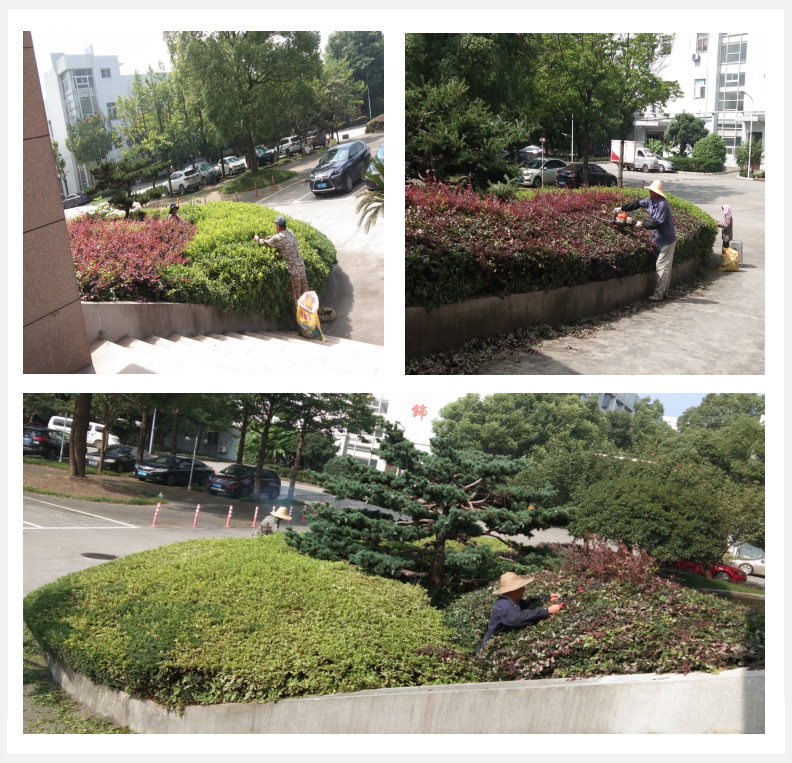 美化綠化，我們在行動      