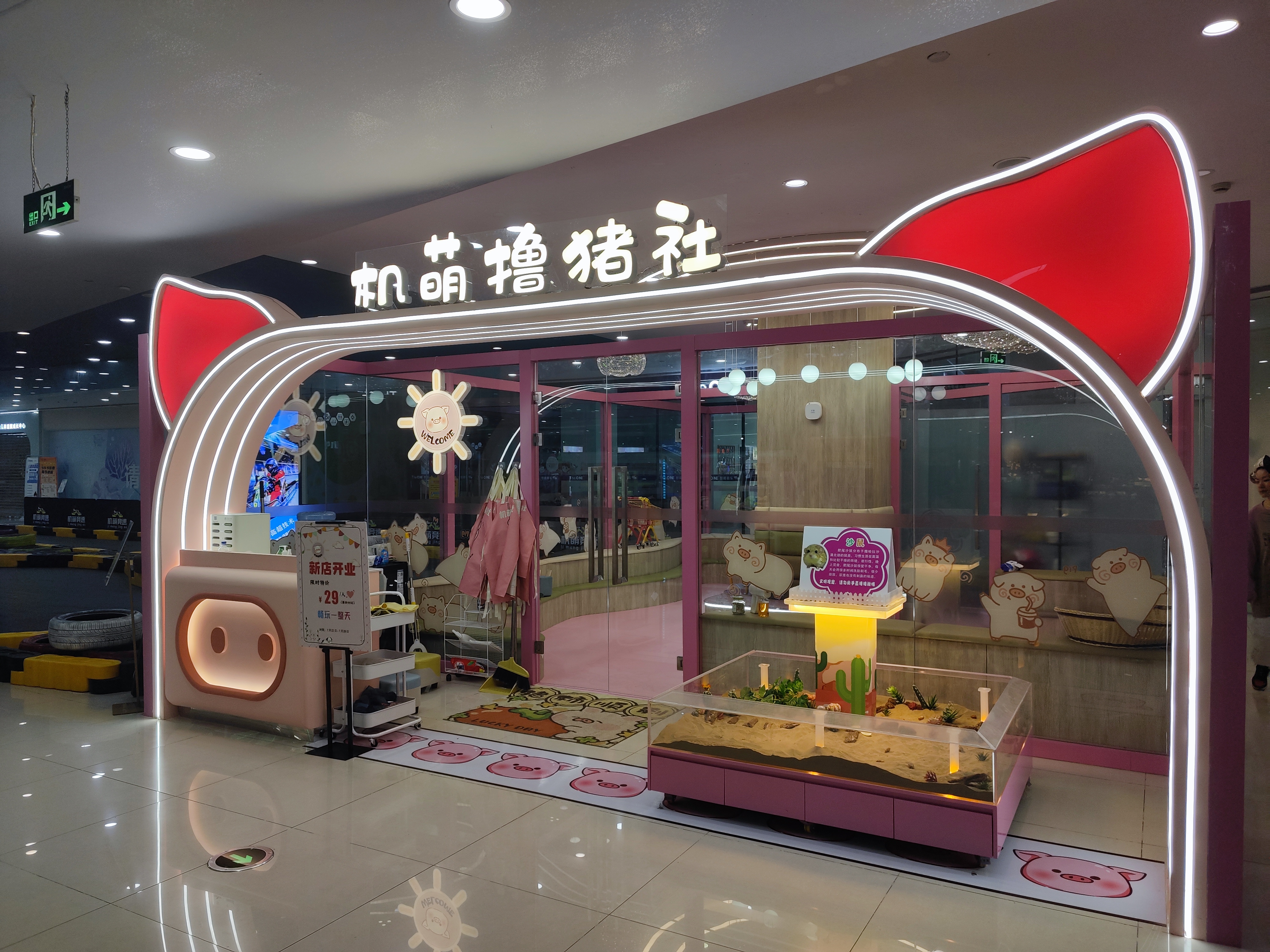水晶城機萌擼豬社開業(yè)啦！