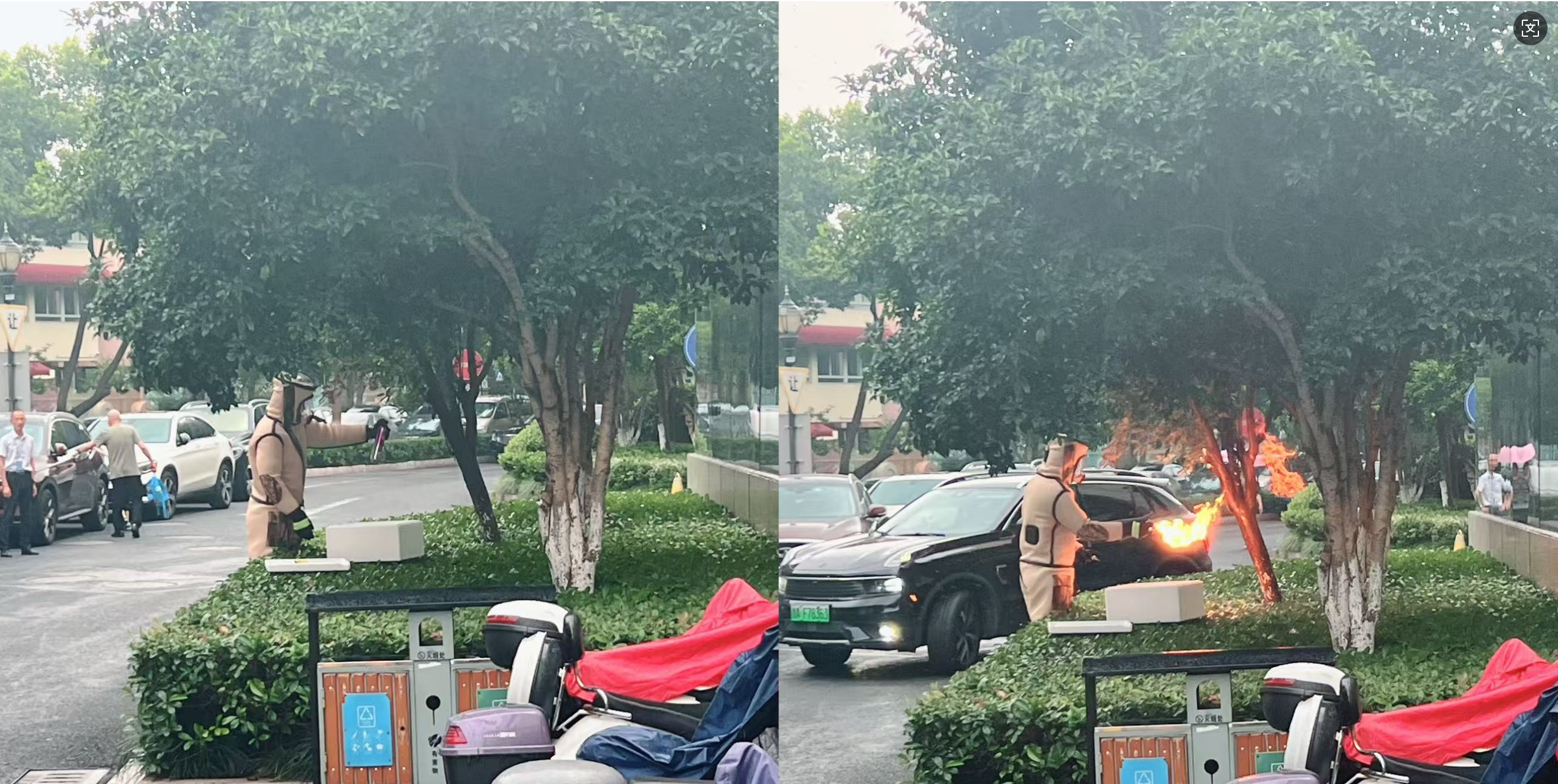 安全守護(hù)零距離，水晶城快速處置外圍蜂群隱患